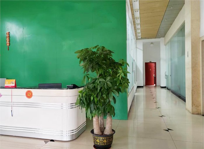 办公区域及展厅